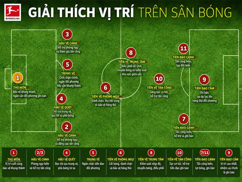 Đội hình bóng đá 11 người được chia thành thủ môn, hậu vệ, tiền vệ và tiền đạo với nhiệm vụ khác nhau trên sân.